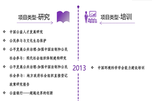 插入雷电将军的逼里非评估类项目发展历程